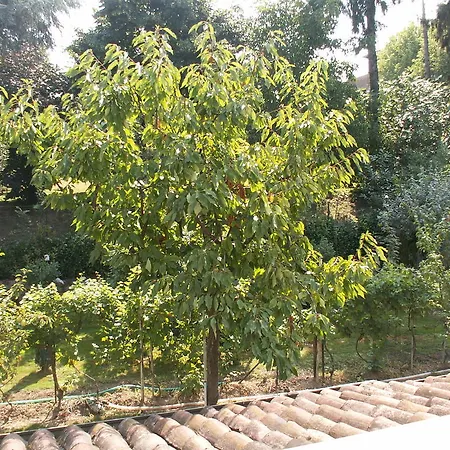 Lejlighed Molino Antico Soncino
